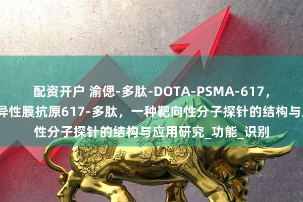 配资开户 渝偲-多肽-DOTA-PSMA-617，大环配体-前列腺特异性膜抗原617-多肽，一种靶向性分子探针的结构与应用研究_功能_识别